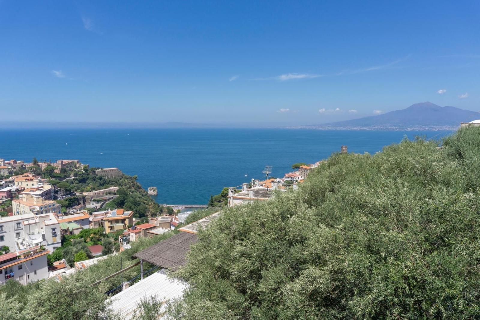 Appartamento In Villa Ariel Vico Equense Exterior foto